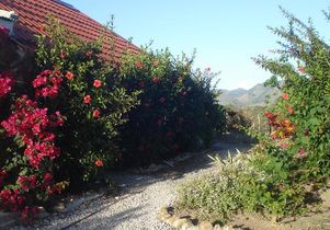Campo Taino Garden